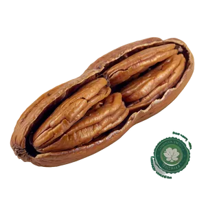 Organic Pecan Png 06272024 PNG image