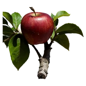 Organic Red Apple Png 06272024 PNG image