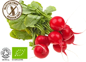 Organic Red Radishes Gluten Free PNG image