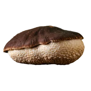 Organic Shiitake Mushroom PNG 06252024 PNG