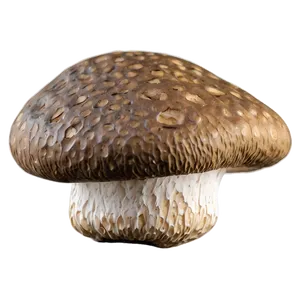Organic Shiitake Mushroom PNG Pkp6