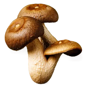 Organic Shiitake Mushroom PNG Uge