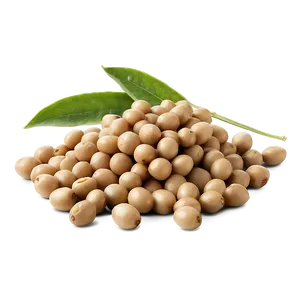 Organic Soybeans Pile PNG Pcn PNG