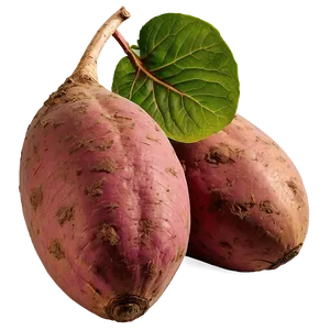 Organic Sweet Potato Png 99 PNG image