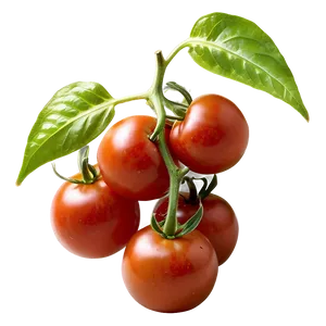 Organic Tomatoes Cluster Png 06212024 PNG image