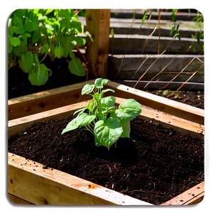 Organic Vegetable Garden Mulch PNG Qng77 PNG