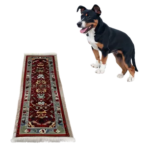 Oriental Hallway Carpet PNG Xpi PNG