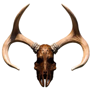 Ornamental Antler Art PNG 06212024 PNG