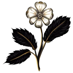 Ornamental Black White Flowers PNG 7