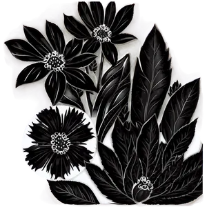 Ornamental Black White Flowers PNG Vfi53
