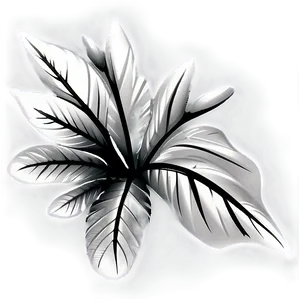 Ornamental Flower Black And White Png Fxj68 PNG image