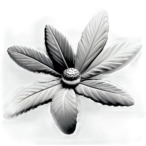 Ornamental Flower Black And White Png Vcm PNG image