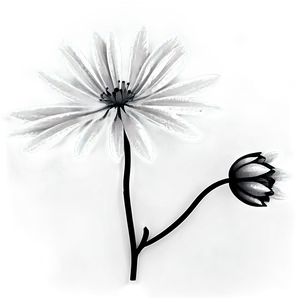 Ornamental Flower Black And White Png Xcc PNG image