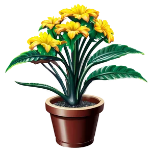 Ornamental Plant PNG Fqf50