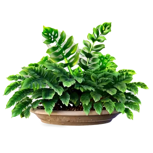 Ornamental Plant PNG Yae14