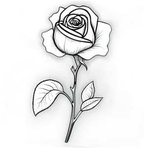 Ornamental Rose Black And White PNG 97