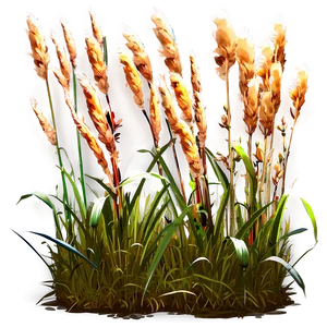 Ornamental Rush Grass PNG 27