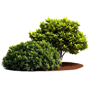 Ornamental Shrubs PNG Kmi
