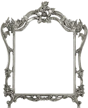 Ornate Baroque Style Frame