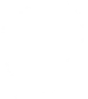 Ornate Blackand White Frame Design PNG image