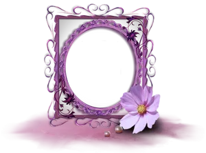 Ornate Frameand Cosmos Flower PNG image