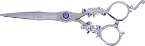 Ornate Silver Scissorswith Gemstones.jpg PNG