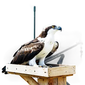 Osprey Nest Protection PNG 4 PNG