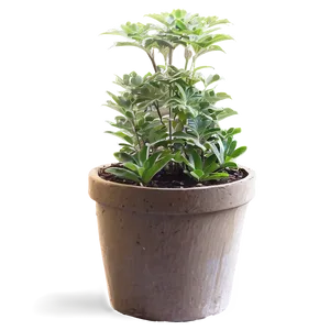 Outdoor Garden Potted Plants Png Kme76 PNG image