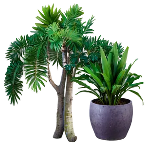 Outdoor Plant Png Vwr PNG image