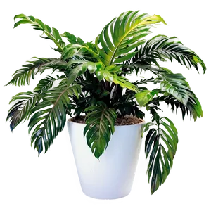 Outdoor Plants Png Imh22 PNG image