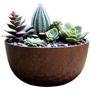 Outdoor Succulent Arrangements Png Lht PNG image