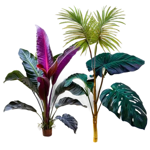 Outdoor Tropical Plants Png 06252024 PNG image