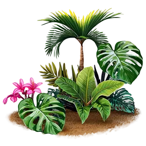 Outdoor Tropical Plants PNG Jsk PNG