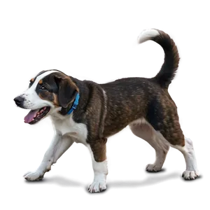 Outline Of Dogs PNG Alo70