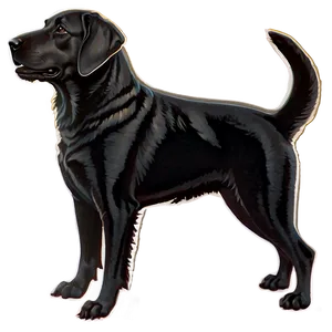 Outline Of Dogs PNG Vbf29