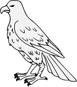 Outlined Falcon Illustration PNG image