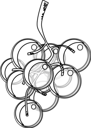 Outlined Grapes Cluster Illustration