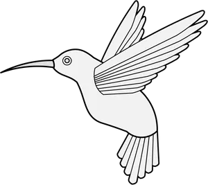 Outlined Hummingbird Illustration PNG image