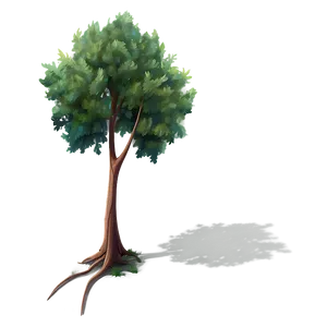 Overcast Tree Shadow PNG Epw29