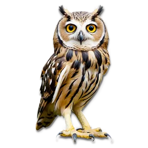 Owl Beak Png 94 PNG image