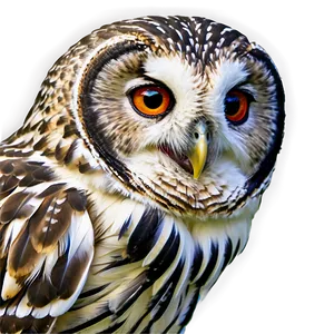 Owl Beak Png Gqw PNG image