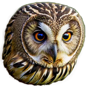 Owl Beak Png She PNG image