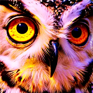Owl Face Png 36 PNG image