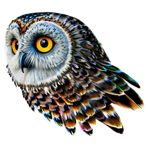Owl Feather Png 05062024 PNG image