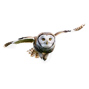Owl In Flight Png Egw36 PNG image