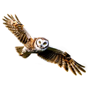 Owl In Flight Png Mkn PNG image