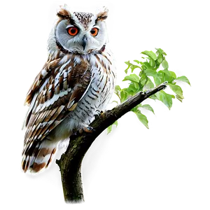 Owl In Forest Png 05062024 PNG image