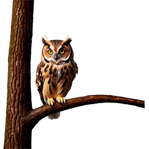 Owl On Branch Png 05062024 PNG image