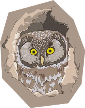 Owl Peeking Through Hole PNG image