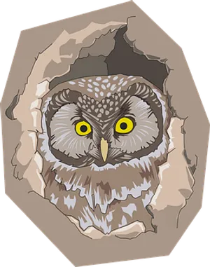 Owl Peeking Through Hole